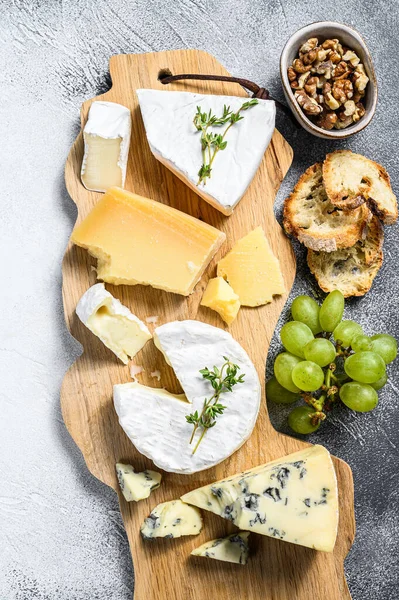 Sajttábla Francia Camembert Brie Parmezán Kék Sajt Szőlő Dió Fehér — Stock Fotó