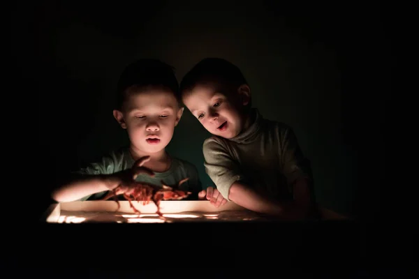 Två Pojkar Leker Med Sand Mörkret — Stockfoto
