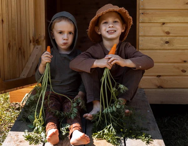 Dos Chicos Comiendo Zanahorias Cerca Del Granero —  Fotos de Stock