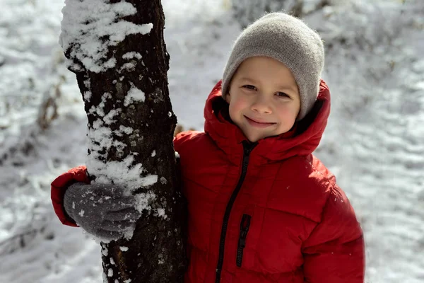 Boy Stands Next Tree Winter Forest — Stock Photo, Image