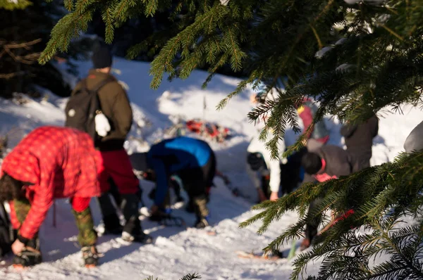 Kış maceraları. limbing eğitim. Karpatlar. Ukrayna.