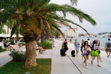 Split, Dalmaçya, Hırvatistan; 09/07/2018: Sahilde insanlar ve palmiye ağaçları.