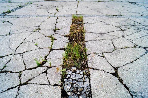 古い床 表面にひび割れや骨折 草はコンクリートを通して成長する — ストック写真