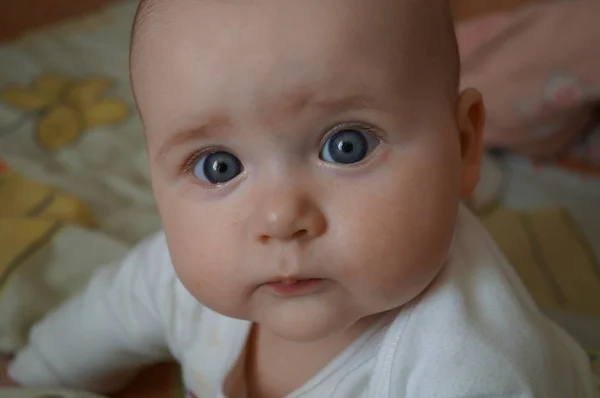 Foto Primo Piano Una Bambina Guarda Nella Lente — Foto Stock