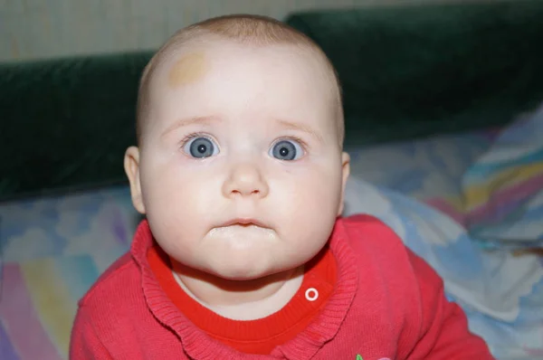 Foto Primo Piano Una Bambina Guarda Nella Lente — Foto Stock