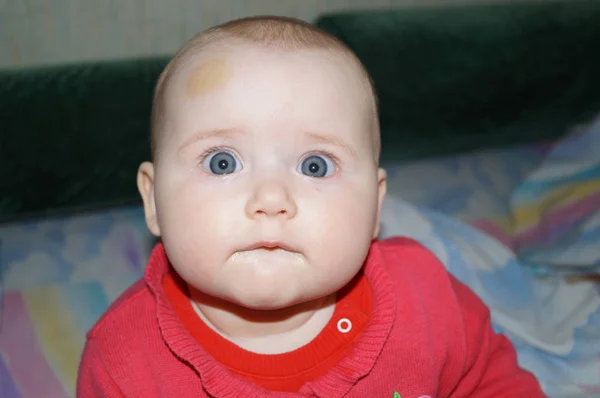 Fotografía Cerca Una Niña Mira Dentro Lente —  Fotos de Stock