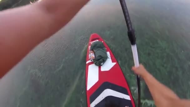 Roeien Een Sup Board Van Eerste Persoon Camera Een Peddel — Stockvideo