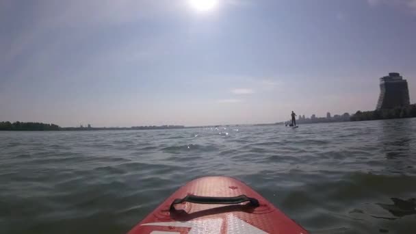 Ramer Sur Tableau Sup Sup Board Sur Fond Soleil Lever — Video