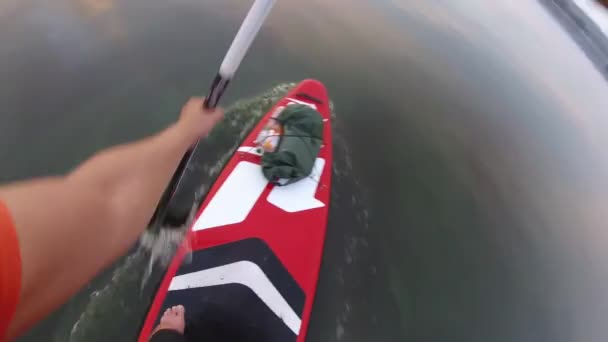 Roeien Een Sup Board Van Eerste Persoon Camera Een Peddel — Stockvideo