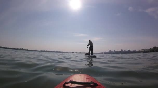 划在Sup板上 太阳背景上的木板 男子在城市的棋盘上划桨 — 图库视频影像