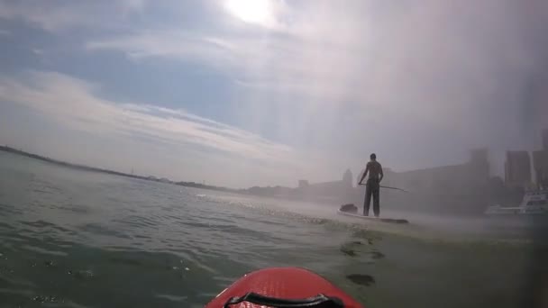 Rowing Sup Board Sup Board Background Sun Sunrise Man Paddle — Stock Video