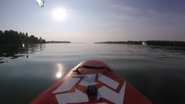 Rowing Sup Board Sup Board Background Sun Sunrise Man Paddle — Stock Video