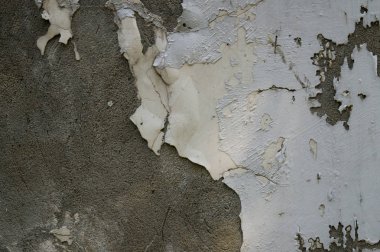 Yok edilmiş alçı. Bağlı sıva. Eski alçı ve macun. Yıkık bina. Yıkım. Durgun -luk.