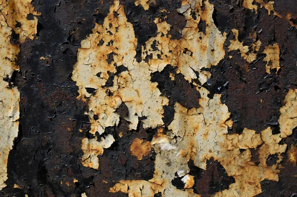 Yok edilmiş alçı. Bağlı sıva. Eski alçı ve macun. Yıkık bina. Yıkım. Durgun -luk.