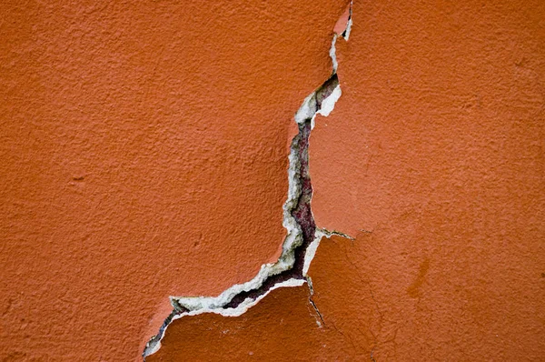 Yok edilmiş alçı. Bağlı sıva. Eski alçı ve macun. Yıkık bina. Yıkım. Durgun -luk.