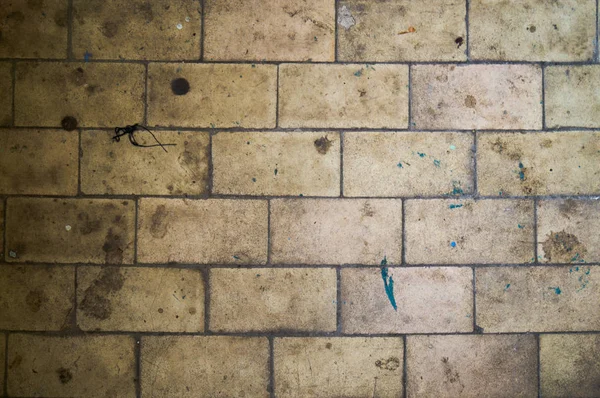 Old tile. Old floor tiles. Road surface. The texture of the road. Tile texture.