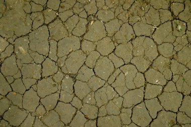 Zemin dokusu. Dünyanın dokusu. Toprak dokusu;