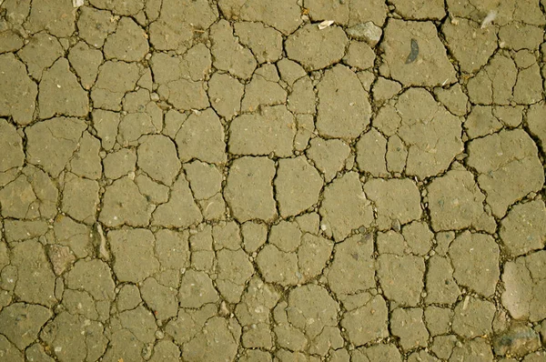 Ground texture. Texture of the earth. Soil texture;