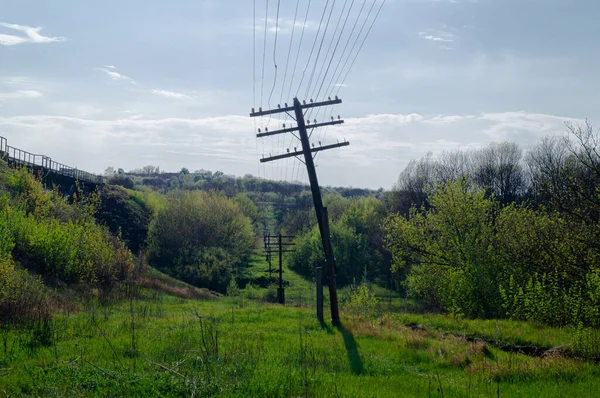 Stromleitungen Elektrifizierung Strom Alte Strommasten Wald — Stockfoto
