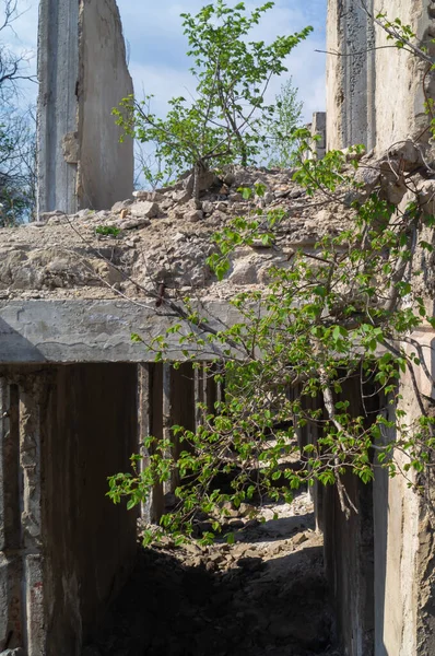 Edificio Ruinas Antiguas Estructuras Hormigón Armado Ruina Las Consecuencias Guerra — Foto de Stock