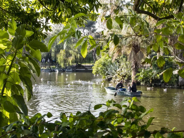 Bir su birikintisi kayıkta kürek