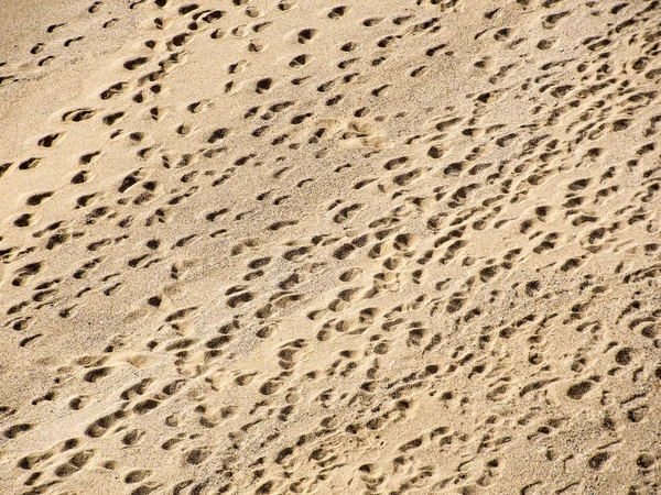 Sahilde ayak izleri.