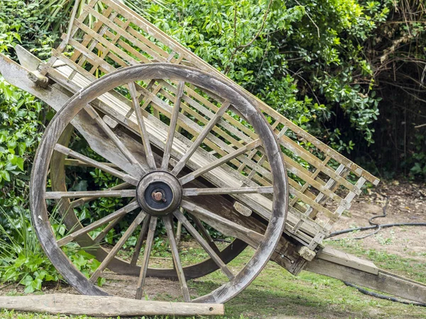 Wooden cart with big wheel