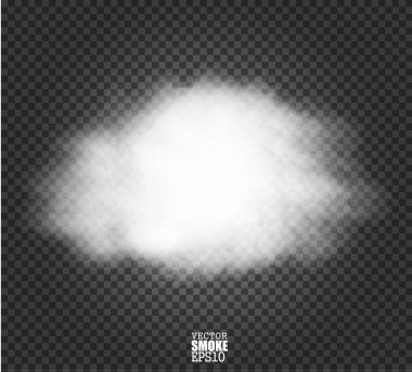 Sis veya duman izole şeffaf özel efekt. Karanlık bir şeffaf arka plan üzerinde gerçekçi izole bulut. Saydam arka plan üzerinde vektör gerçekçi duman.