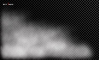 Sis veya duman izole edilmiş şeffaf özel efekt. 