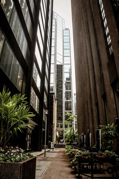 Asma yaprağı ile çevrili bir çeşmenin yakın çekim