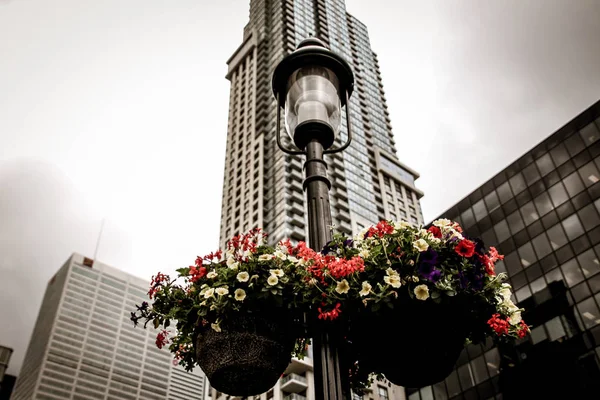 Haziran 2019'da Toronto Sokakları