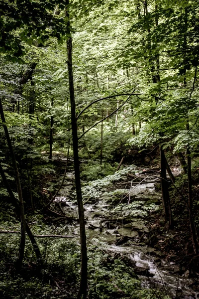 Tiffany Şelaleler Şelaleler Ontario, Kanada