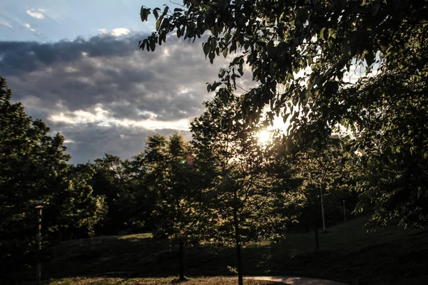 Salida del sol sobre Christie Pits Park Fotos de stock libres de derechos