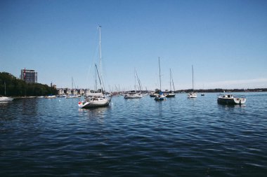 Trillium Park'a bir ziyaret, Ontario Gölü, Toronto
