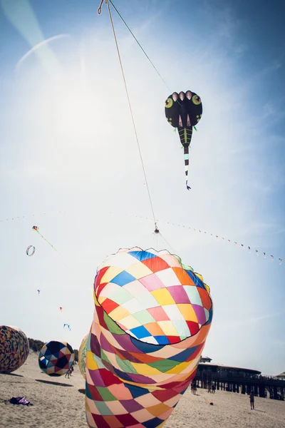 Sahil Uçurtma festivali Ameland 2019