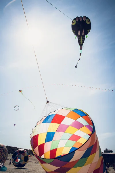 Sahil Uçurtma festivali Ameland 2019