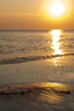 Plajda plastik atık