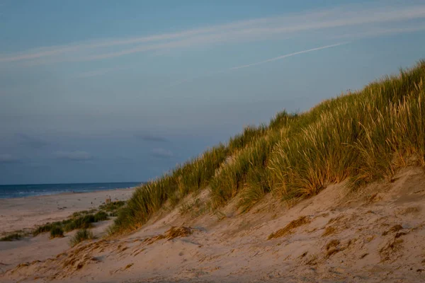 Sanddynor på stranden — Stockfoto