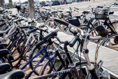 2019 yazında Ameland Adası'na park etmiş birçok bisiklet
