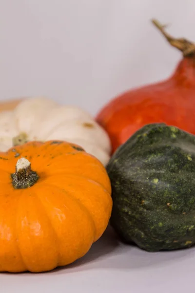 Calabazas coloridas en otoño —  Fotos de Stock