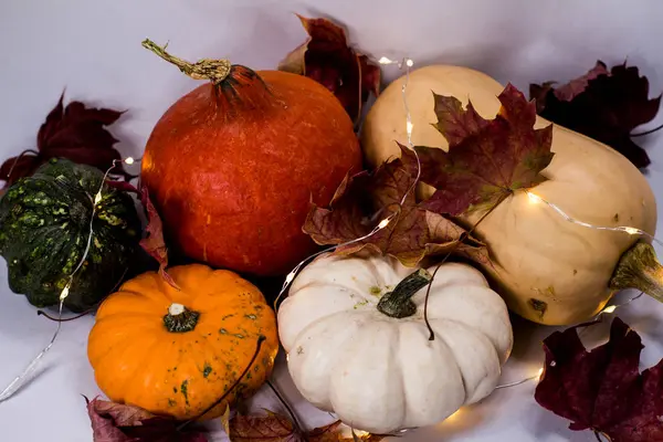 Calabazas coloridas en otoño —  Fotos de Stock