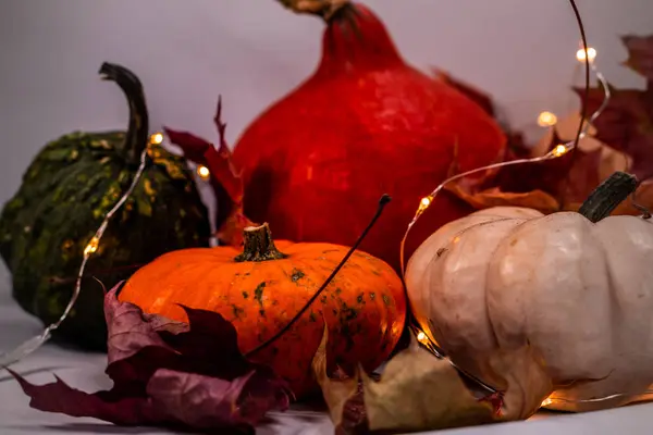 Colorful pumpkins in fall — Stock Photo, Image