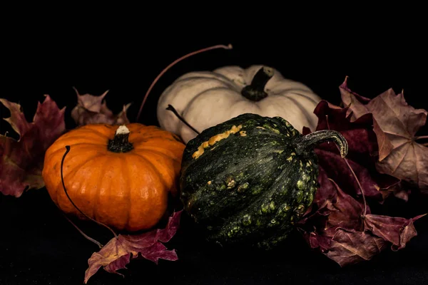 Calabazas coloridas en otoño —  Fotos de Stock