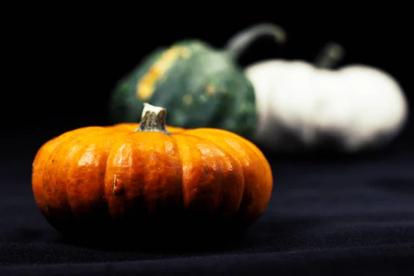 Calabazas coloridas en otoño —  Fotos de Stock