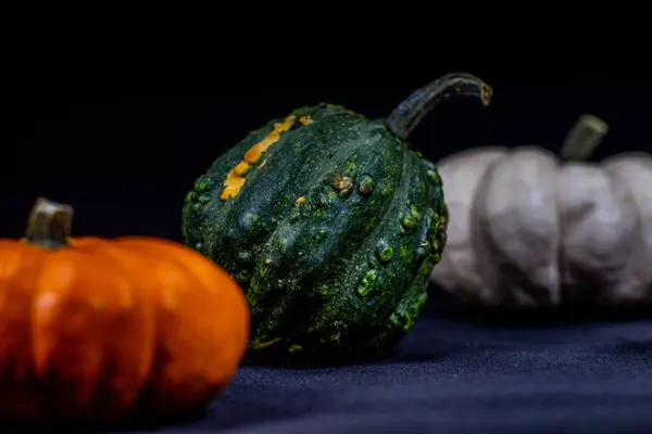 Calabazas coloridas en otoño —  Fotos de Stock