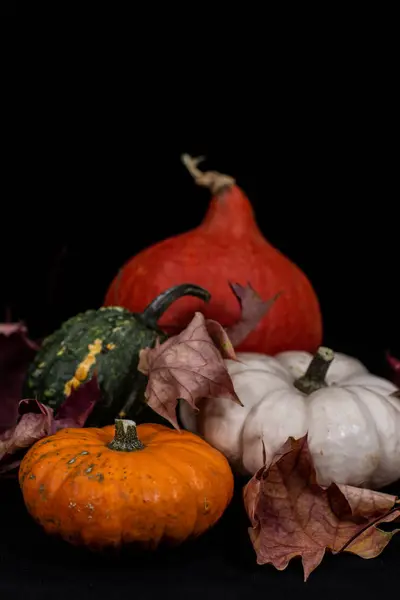 Calabazas coloridas en otoño —  Fotos de Stock