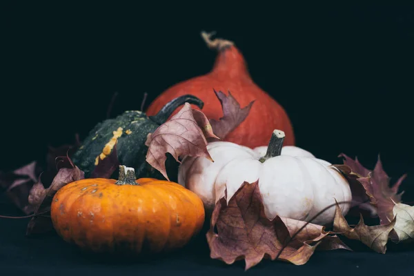 Calabazas coloridas en otoño —  Fotos de Stock