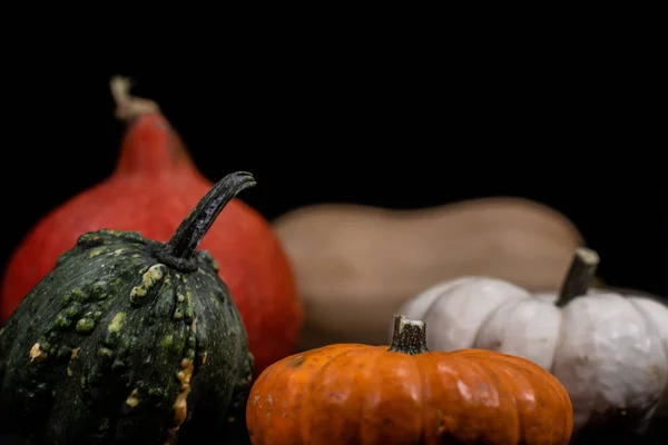 Calabazas coloridas en otoño —  Fotos de Stock