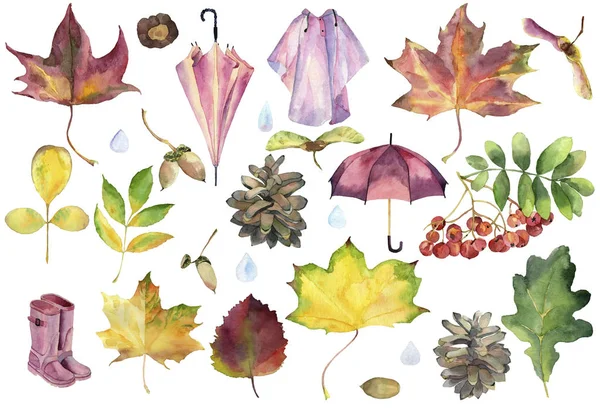 Sulu boya çizim, sonbahar öğeleri kümesi: üvez meyveleri, meşe palamudu, kestane, çam kozalakları, akçaağaç yaprakları, yağmurluk, lastik çizme, şemsiye.