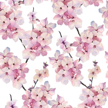 Sakura çiçekleri ile sulu boya deseni